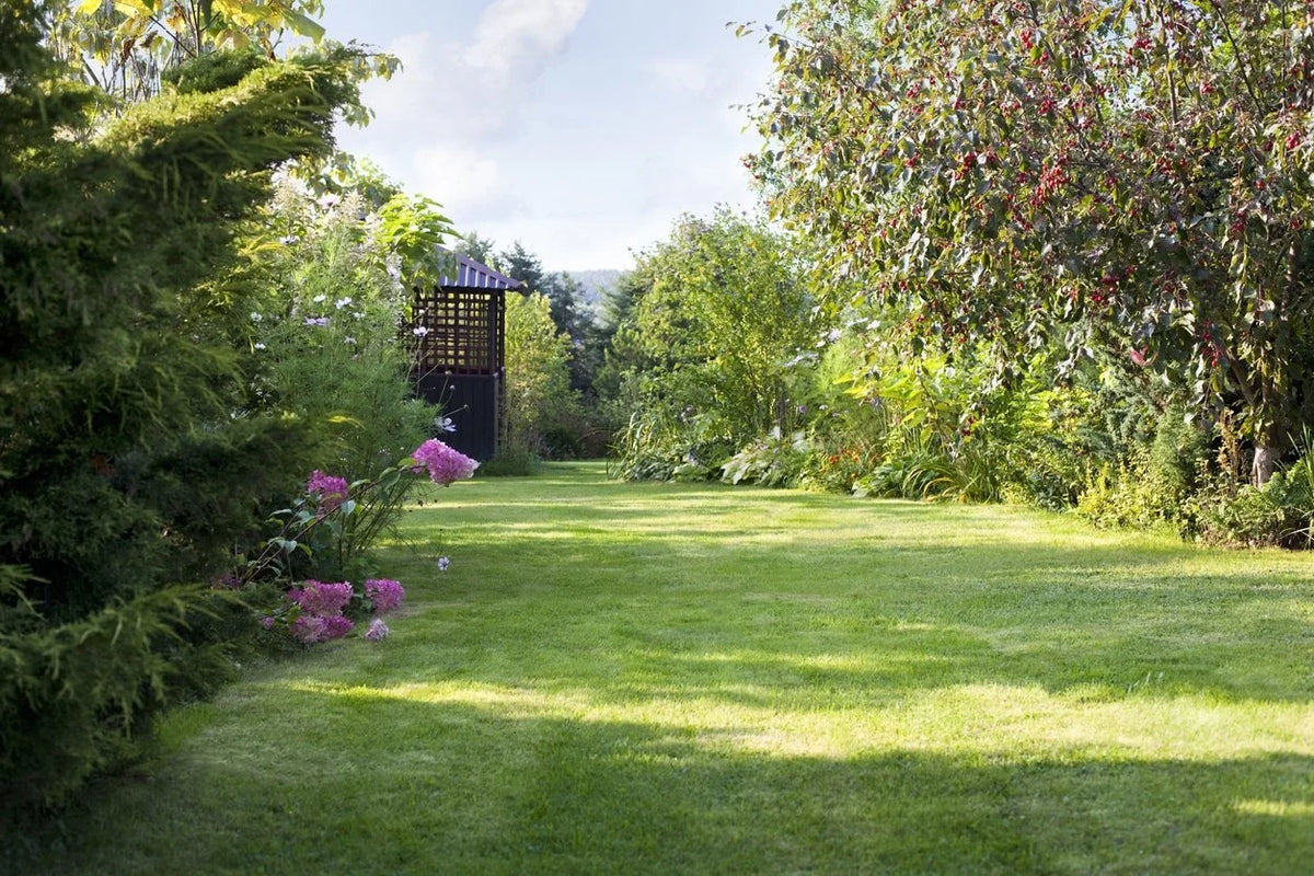 2023 Trends in Garden Design