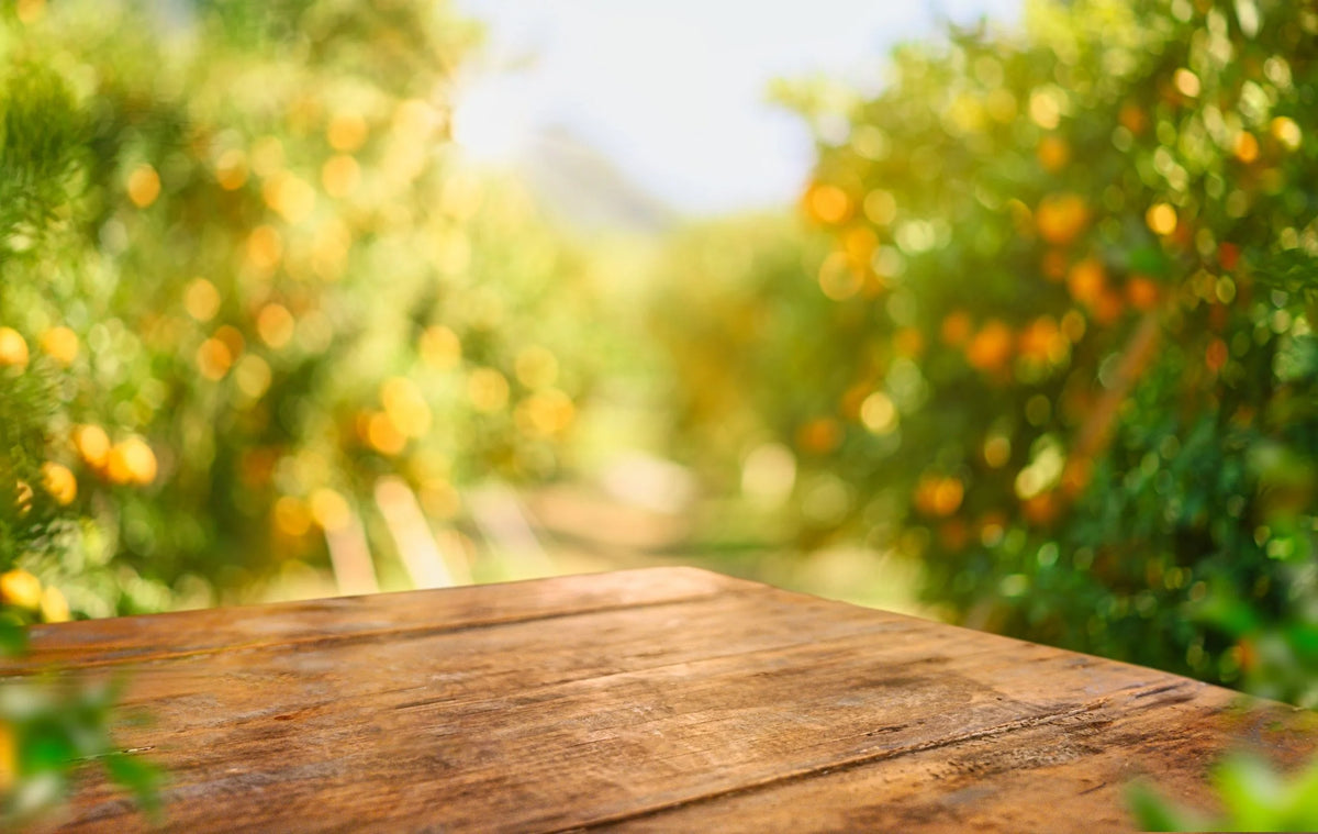 The Ultimate Guide to Cedar Wood Treatment
