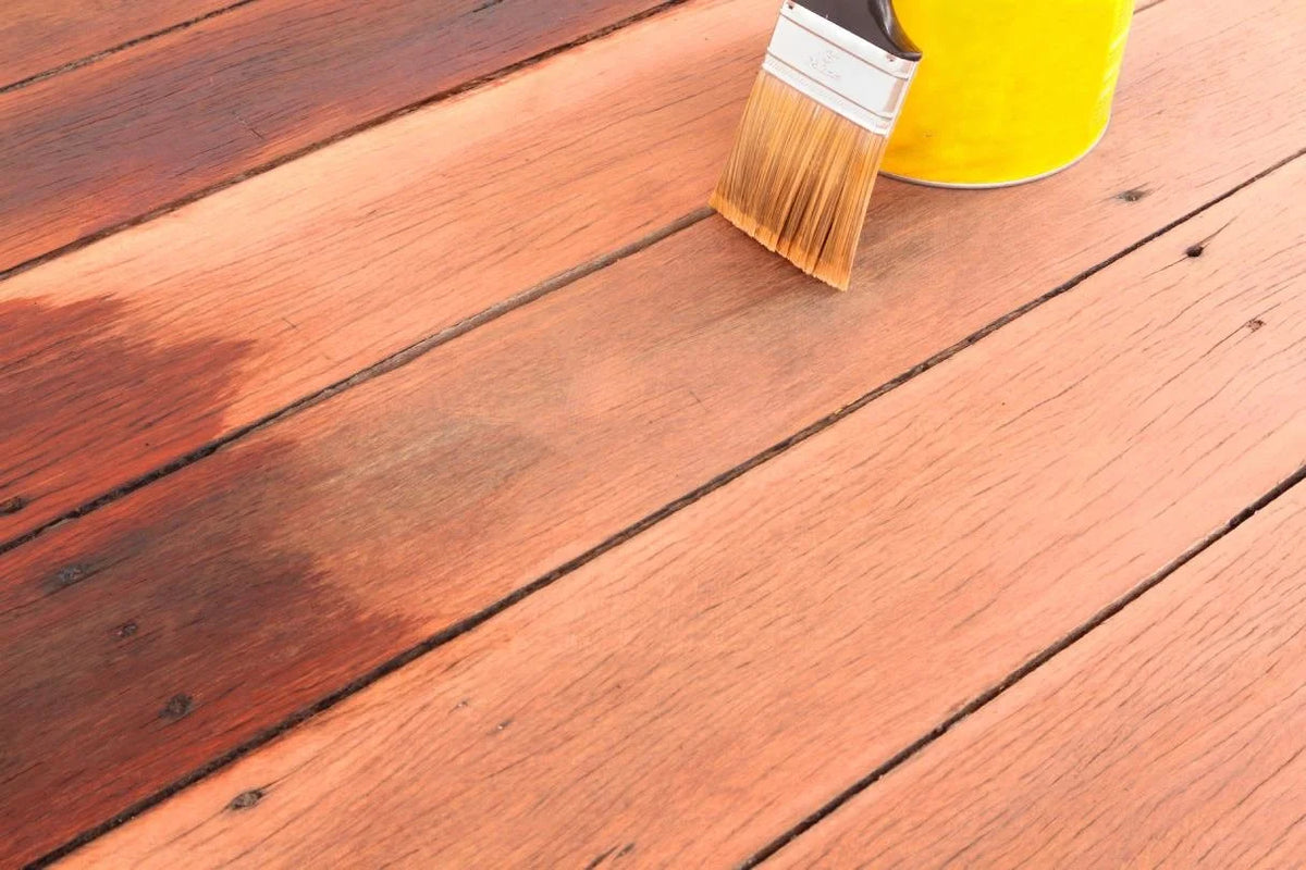 Understanding &amp; Treating Wood Rot: Our Complete Guide