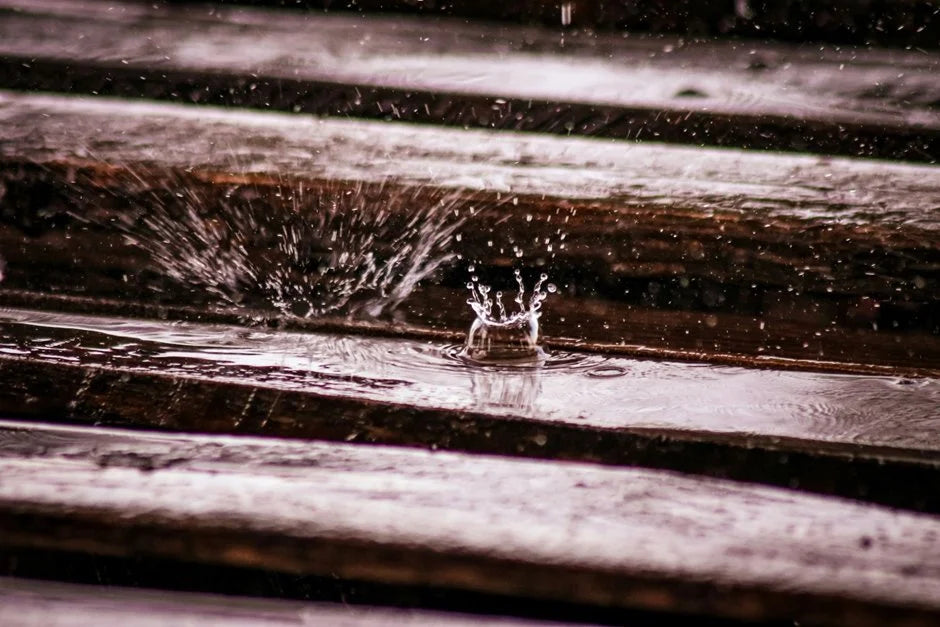 Water Repellent Paint: Protecting Wood From The Elements