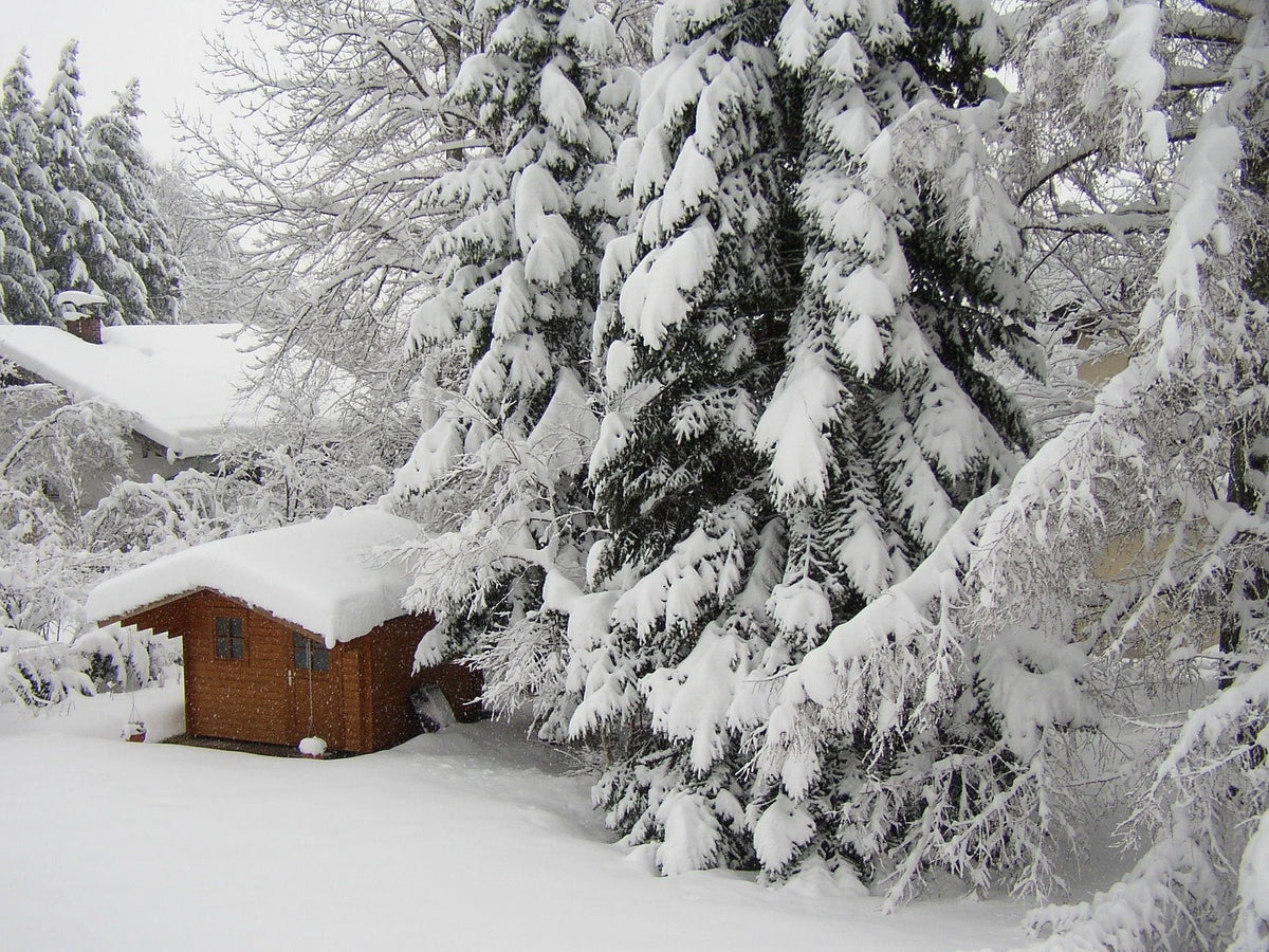 How to Turn Your Garden Shed into a Winter Hideaway